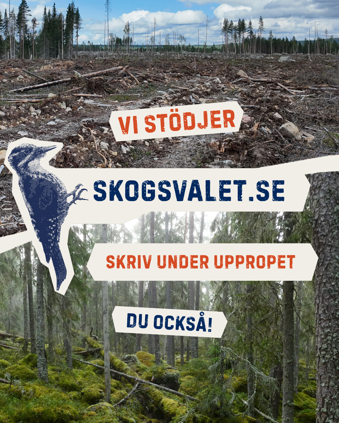 Vi stödjer Skogsvalet